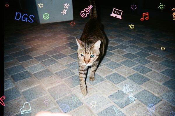 Radiance in Time · A Legacy of 165 Years: Disposable Camera | 光影留芳 · 一百六十五載傳承：即棄菲林相機