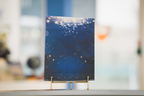 DGS 165th Anniversary Starry Themed A4 Document Folder | A4慶典星空文件夾