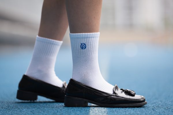 Socks-1 Large DGS Acronym Socks (Blue & White) | DGS 短襪(藍色及白色)