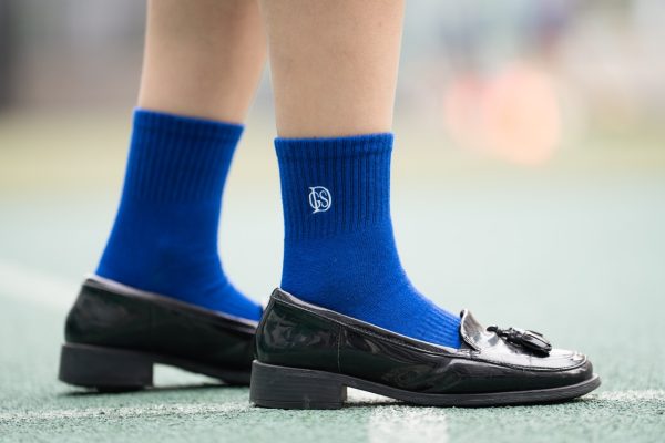 Socks-2 Large DGS Acronym Socks (Blue & White) | DGS 短襪(藍色及白色)